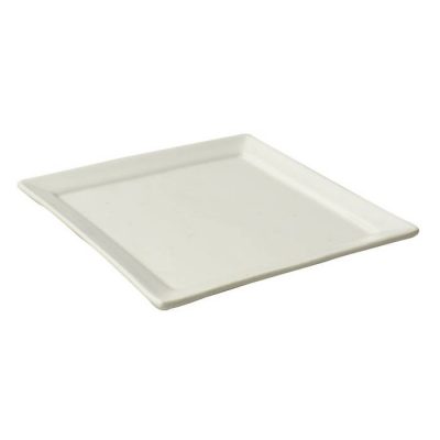 Square Plate With Rim